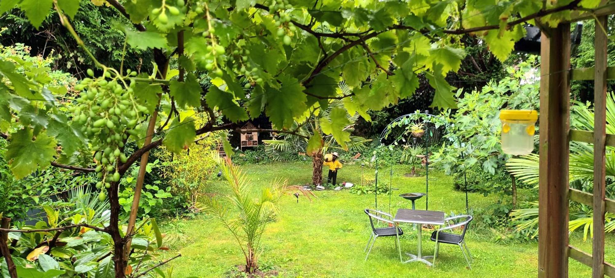 Gite Du Jardin Secret サン・ヴァルリー・シュル・ソンム エクステリア 写真